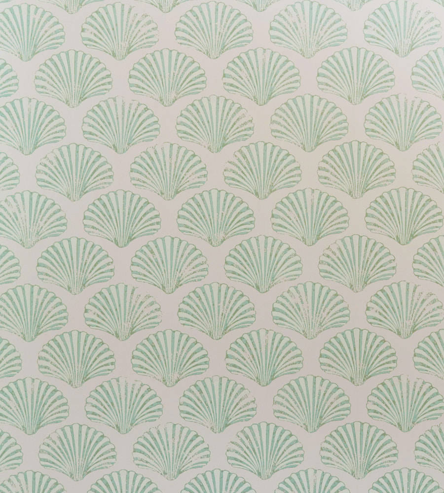 mint green, scallop shells, pale cream, SD Phone Wallpaper