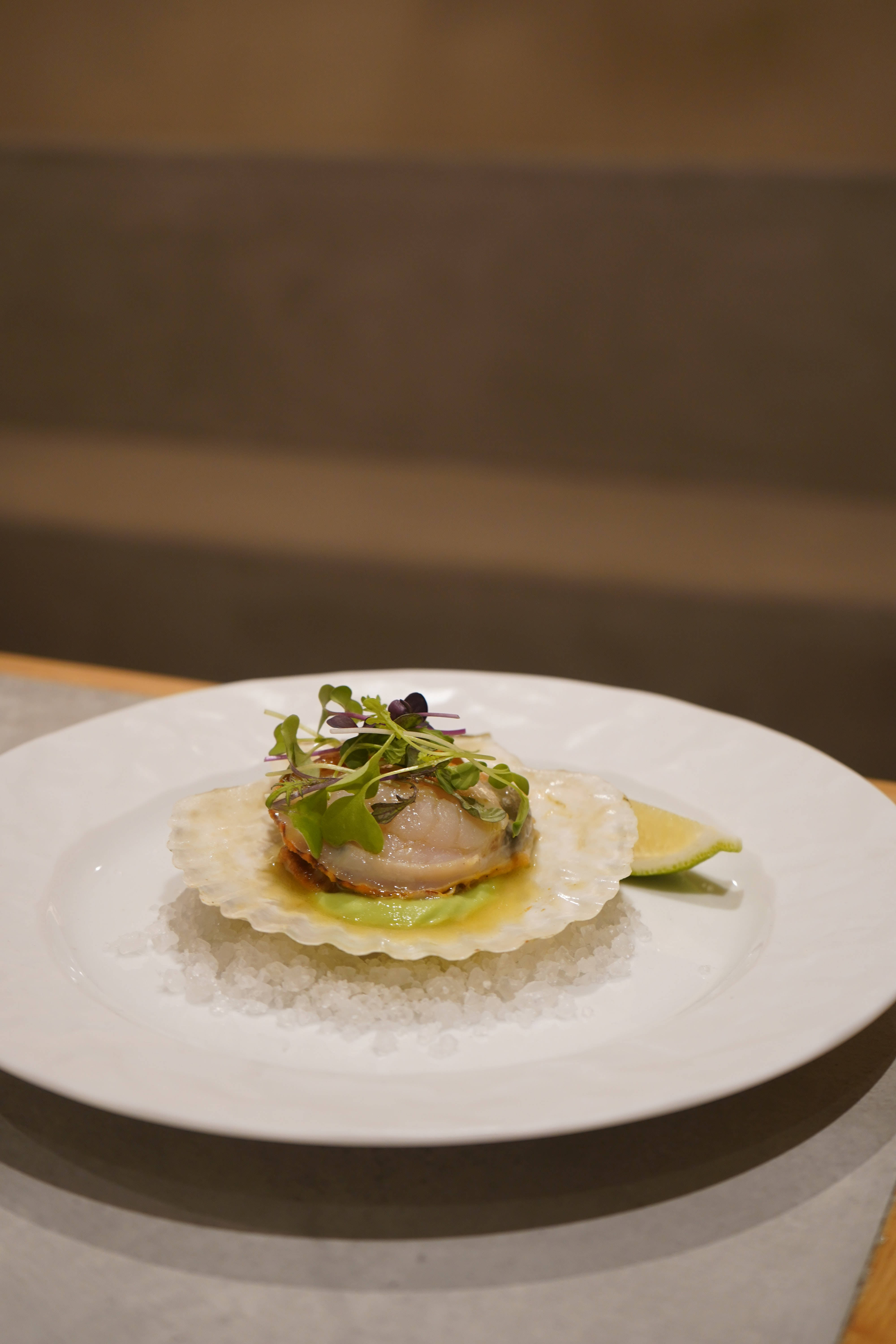 scallops, shell, coarse salt, 5K Phone Wallpaper