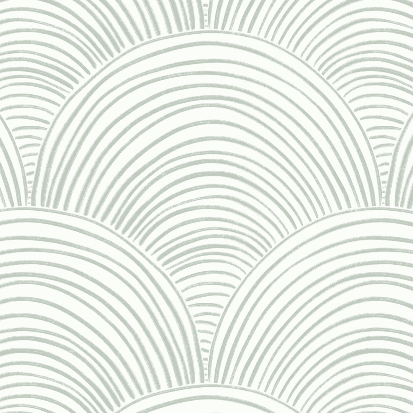 Scallops Pattern, white aesthetic, soft sage green, HD Desktop Wallpaper