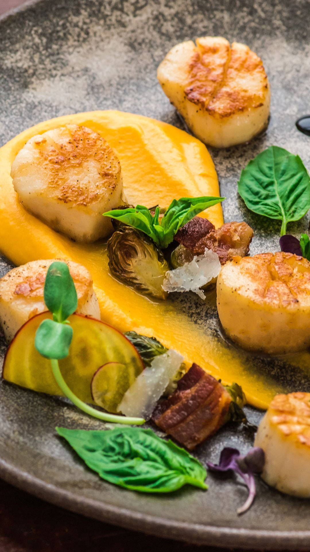 Scallops, herbs, orange sauce, Full HD Phone Wallpaper