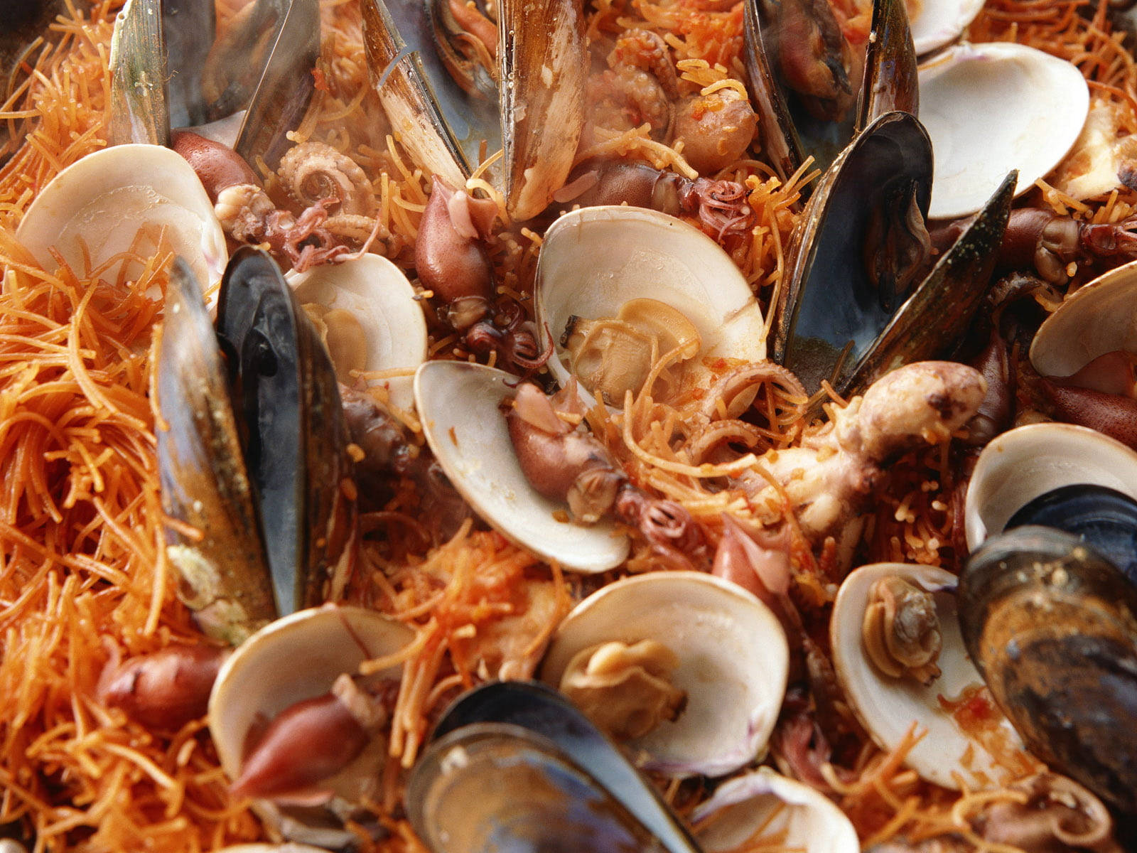 scallops, oysters, seafood paella, HD Desktop Wallpaper