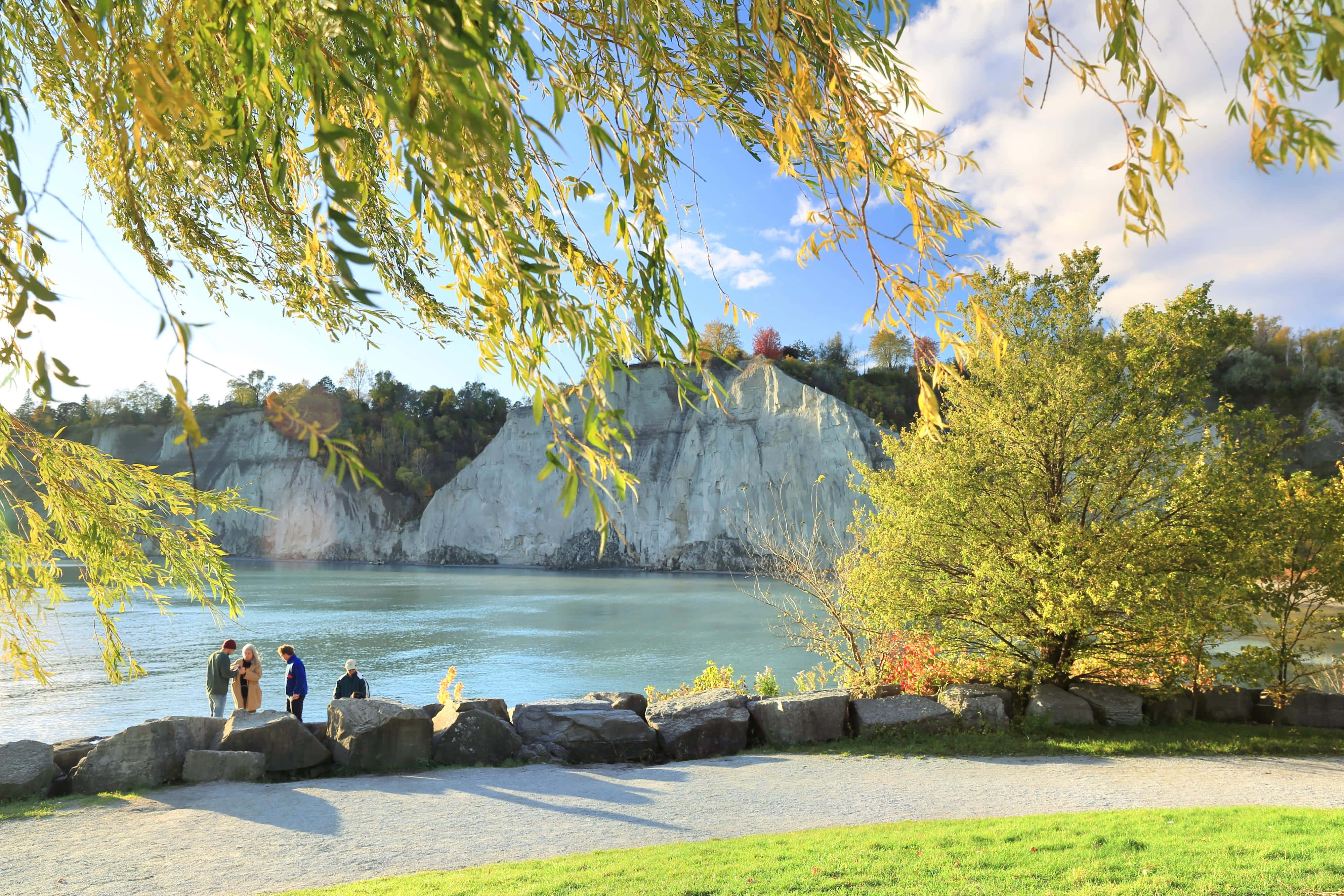 autumn at scarborough bluffs, Scarborough Bluffs, golden willow branches, 4K Desktop Wallpaper