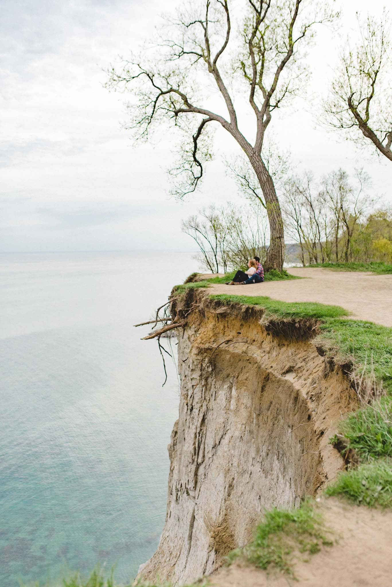 Scarborough Bluffs, cliffside view, bare tree, Full HD Phone Wallpaper