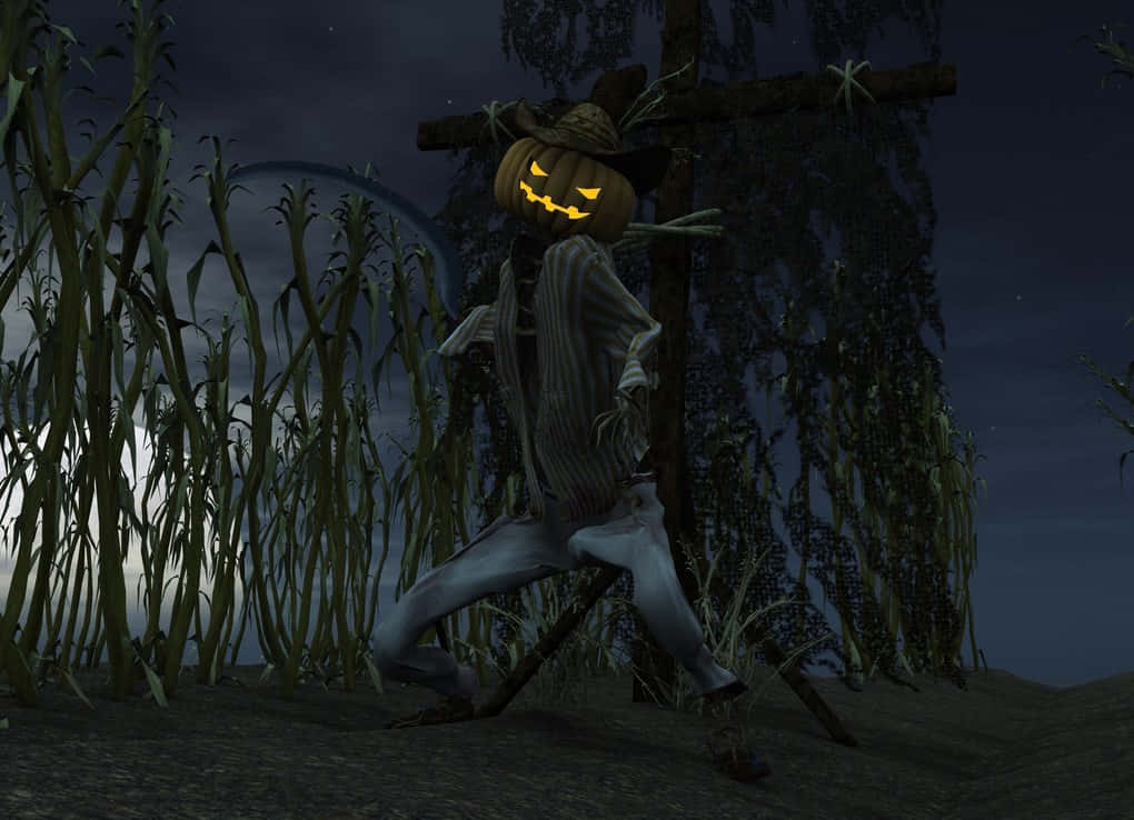 Scarecrows, jack-o'-lantern, cornfield, SD Desktop Wallpaper