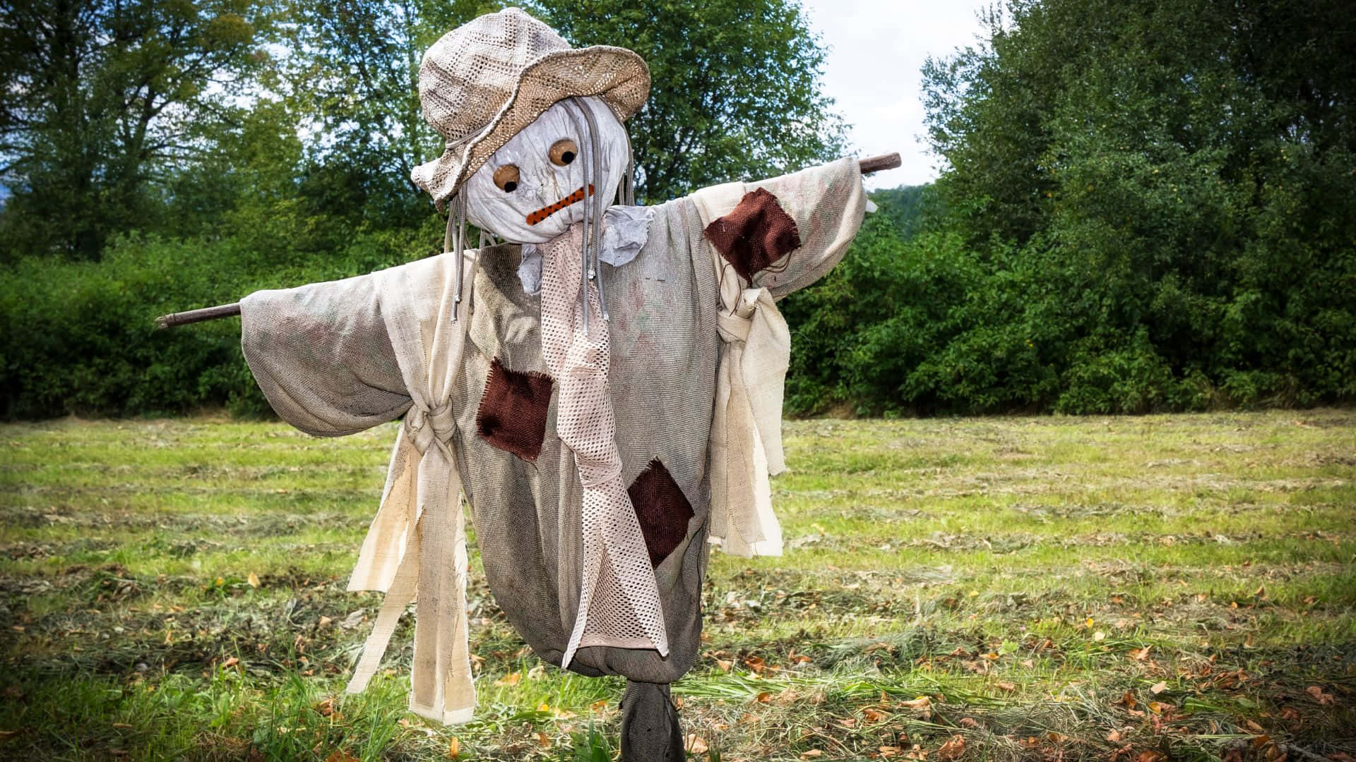 Scarecrows, weathered scarecrow, stitched face, Full HD Desktop Wallpaper