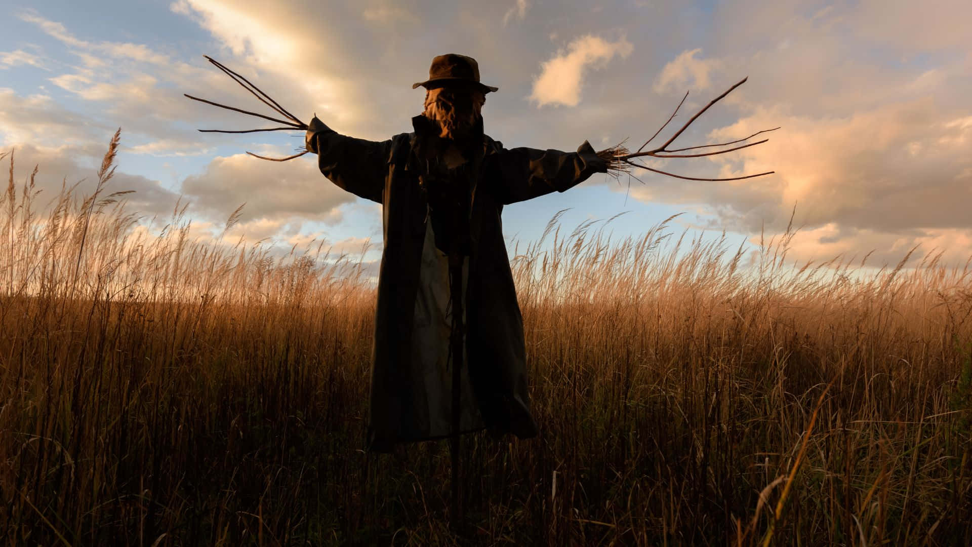 Scarecrows, golden field, sunset, Full HD Desktop Wallpaper
