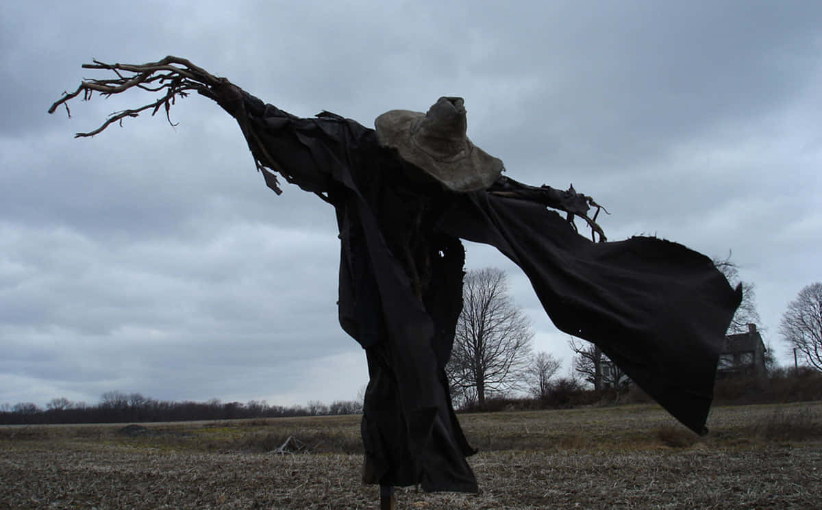 scarecrows, black and white, bales of straw, SD Desktop Wallpaper