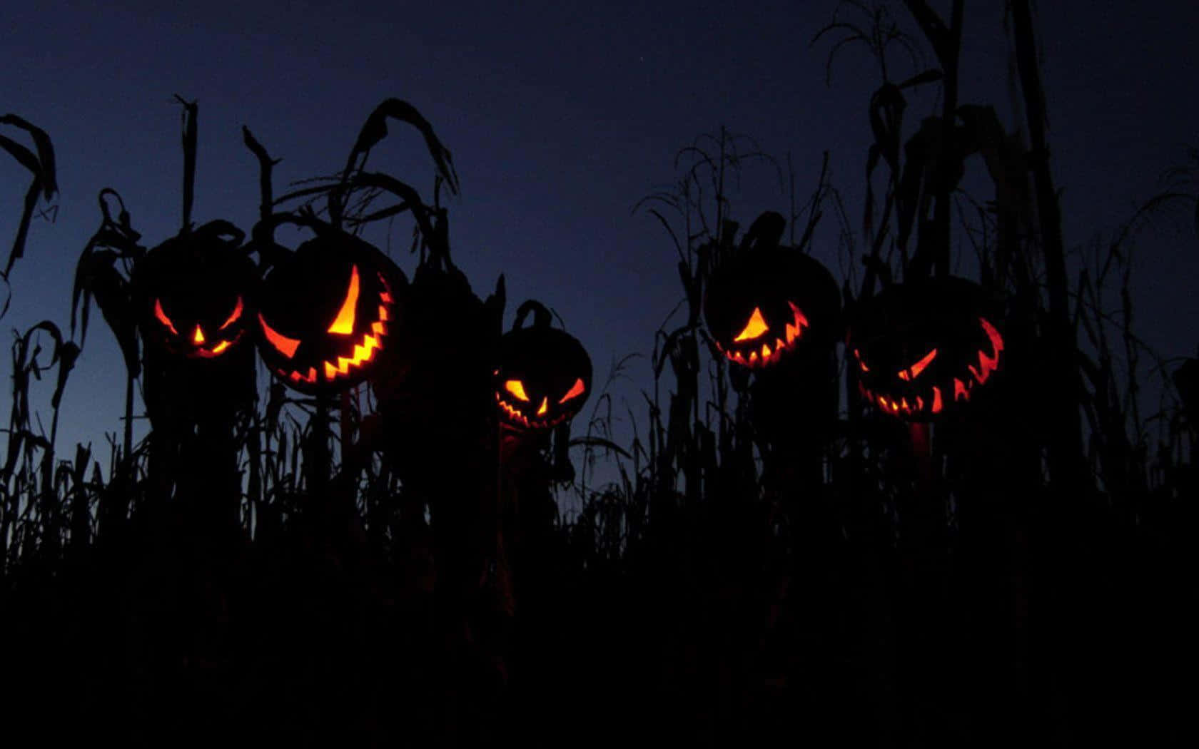 Scarecrows, jack-o'-lanterns, dark cornfield, HD Desktop Wallpaper