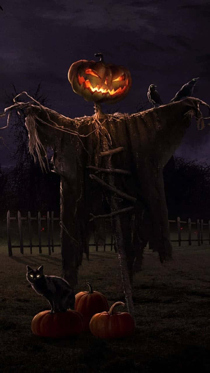 scarecrows, jack-o'-lantern-headed scarecrow, dark field, HD Phone Wallpaper