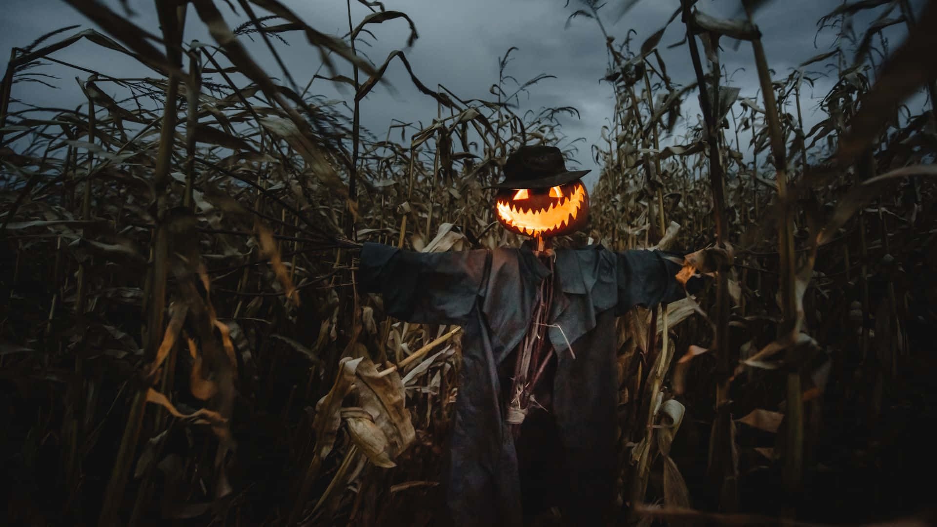 Scarecrows, jack-o'-lantern head, scarecrow, Full HD Desktop Wallpaper