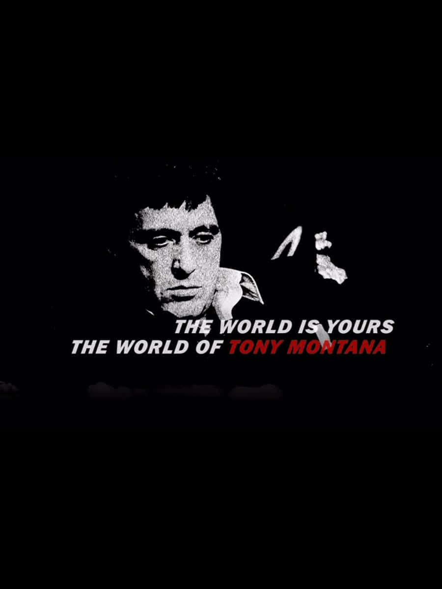 Tony Montana, Scarface, THE WORLD IS YOURS, SD Phone Wallpaper