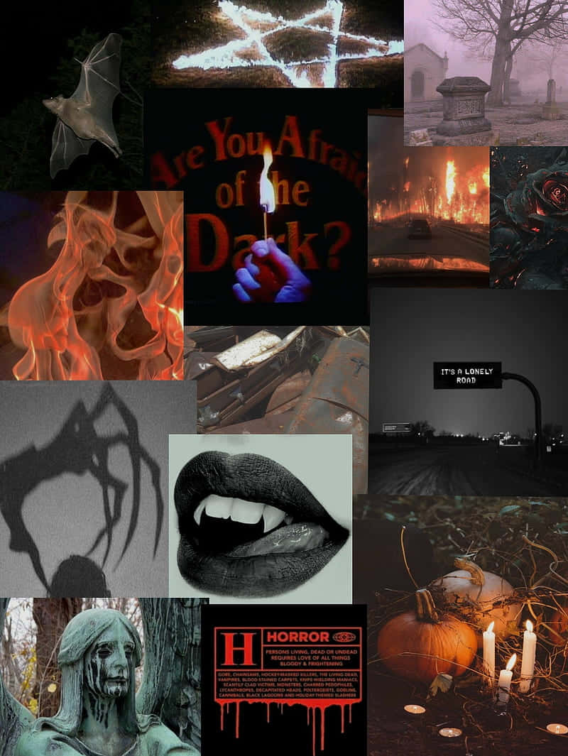 Scary Aesthetic, bats, fire, SD Phone Wallpaper