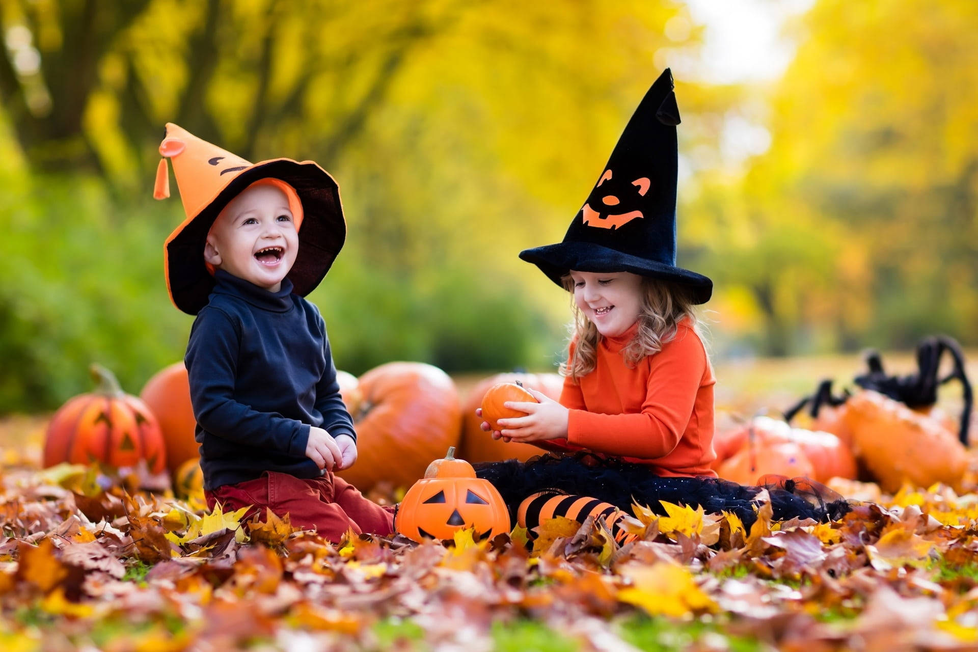 Halloween, witch costume, wizard costume, Full HD Desktop Wallpaper