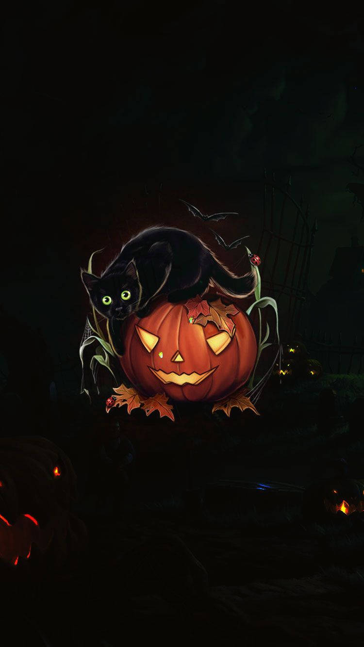 Scary Halloween iPhone, jack-o'-lantern, black cat, HD Phone Wallpaper