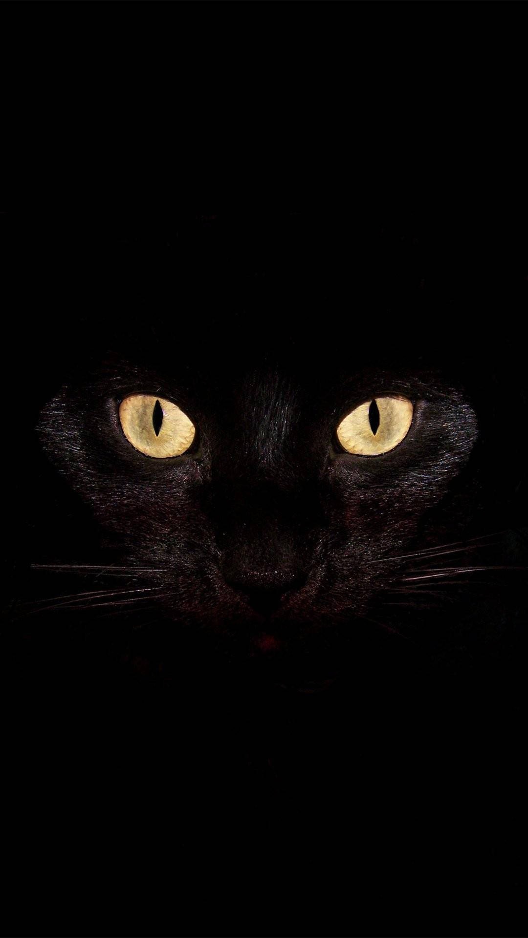 black cat, glowing yellow eyes, total darkness, Full HD Phone Wallpaper