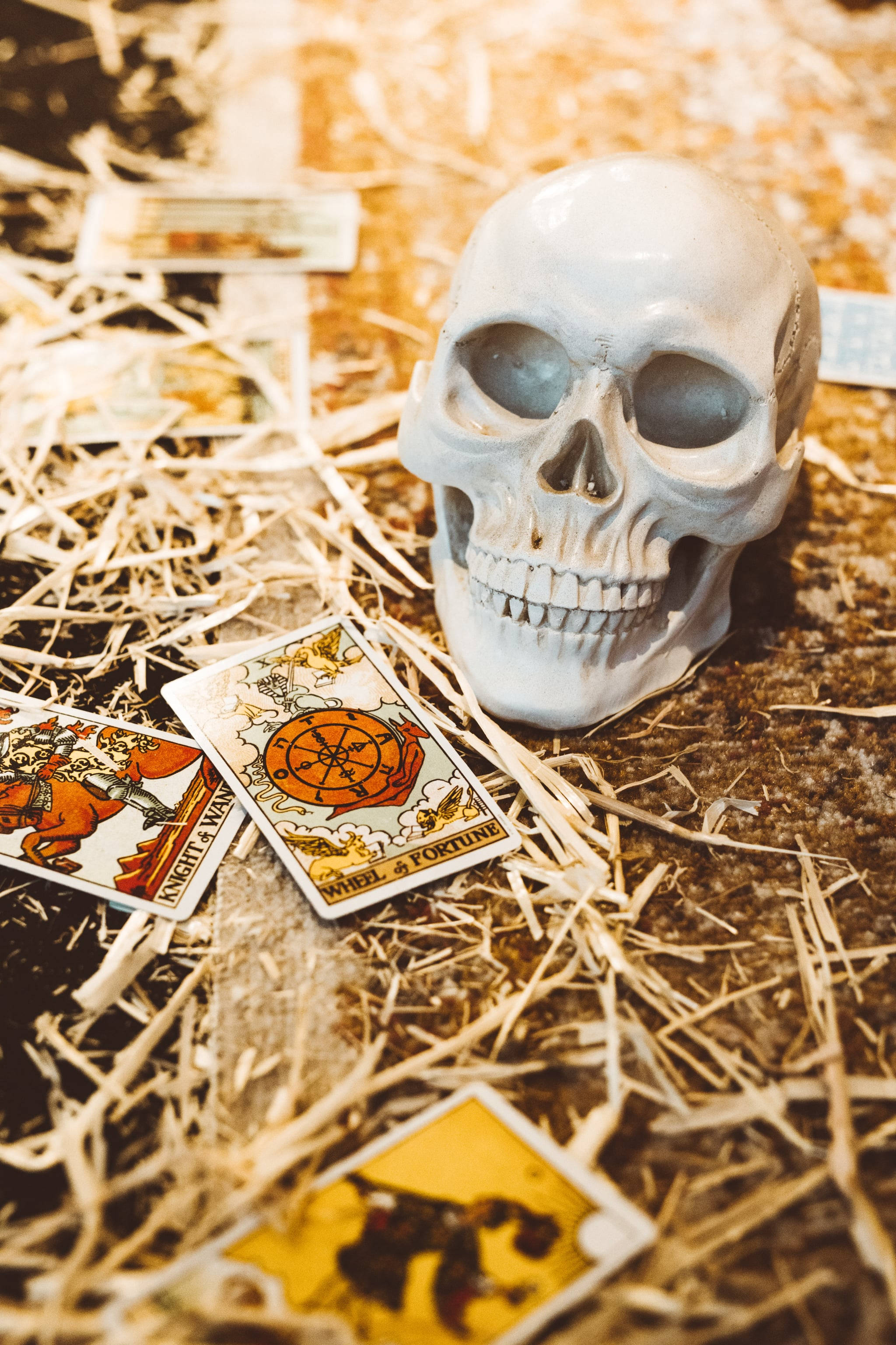 white skull, tarot cards, straw bed, 2K Phone Wallpaper