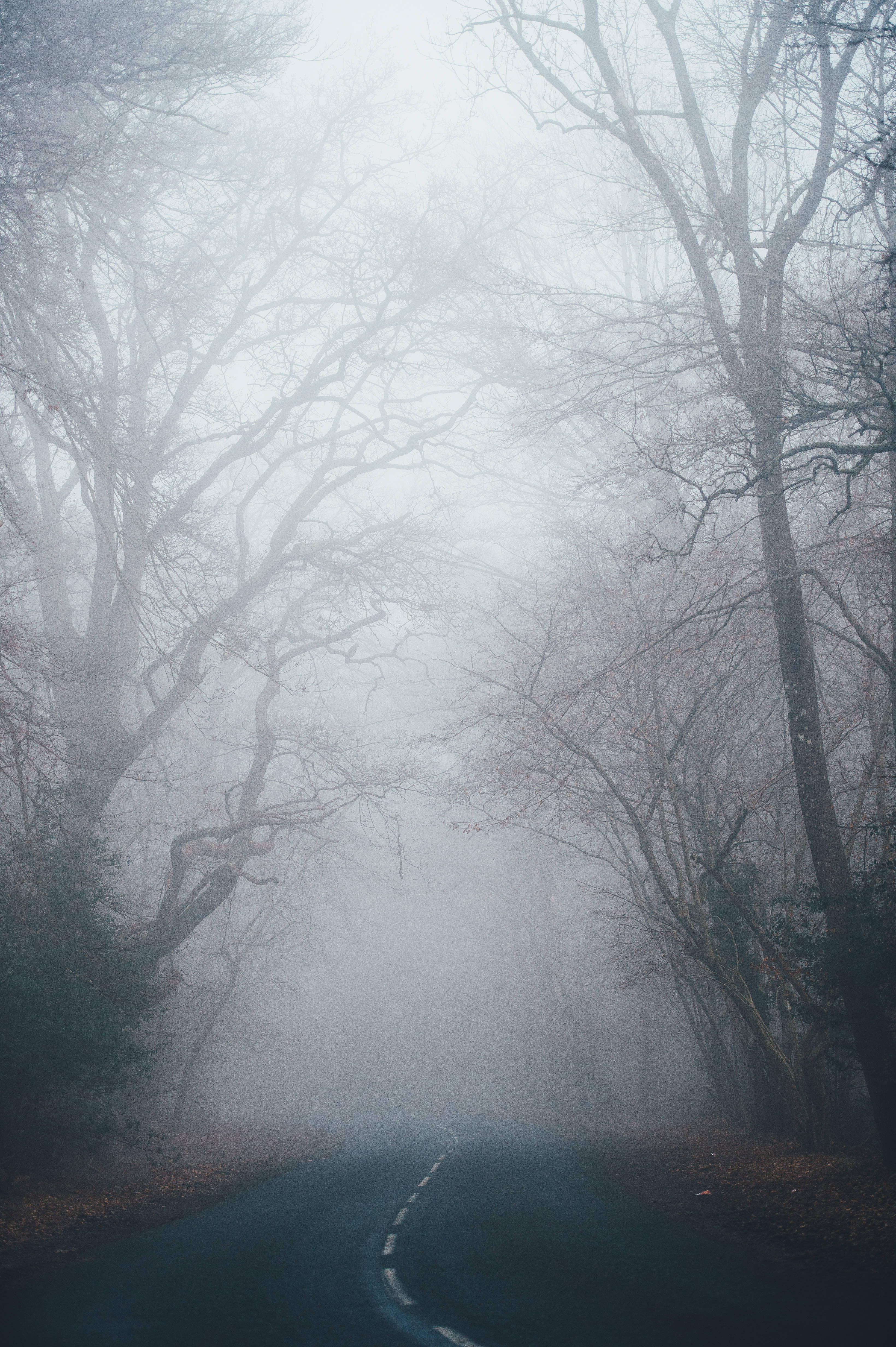 Scary iPhone, winding road, thick fog, 4K Phone Wallpaper