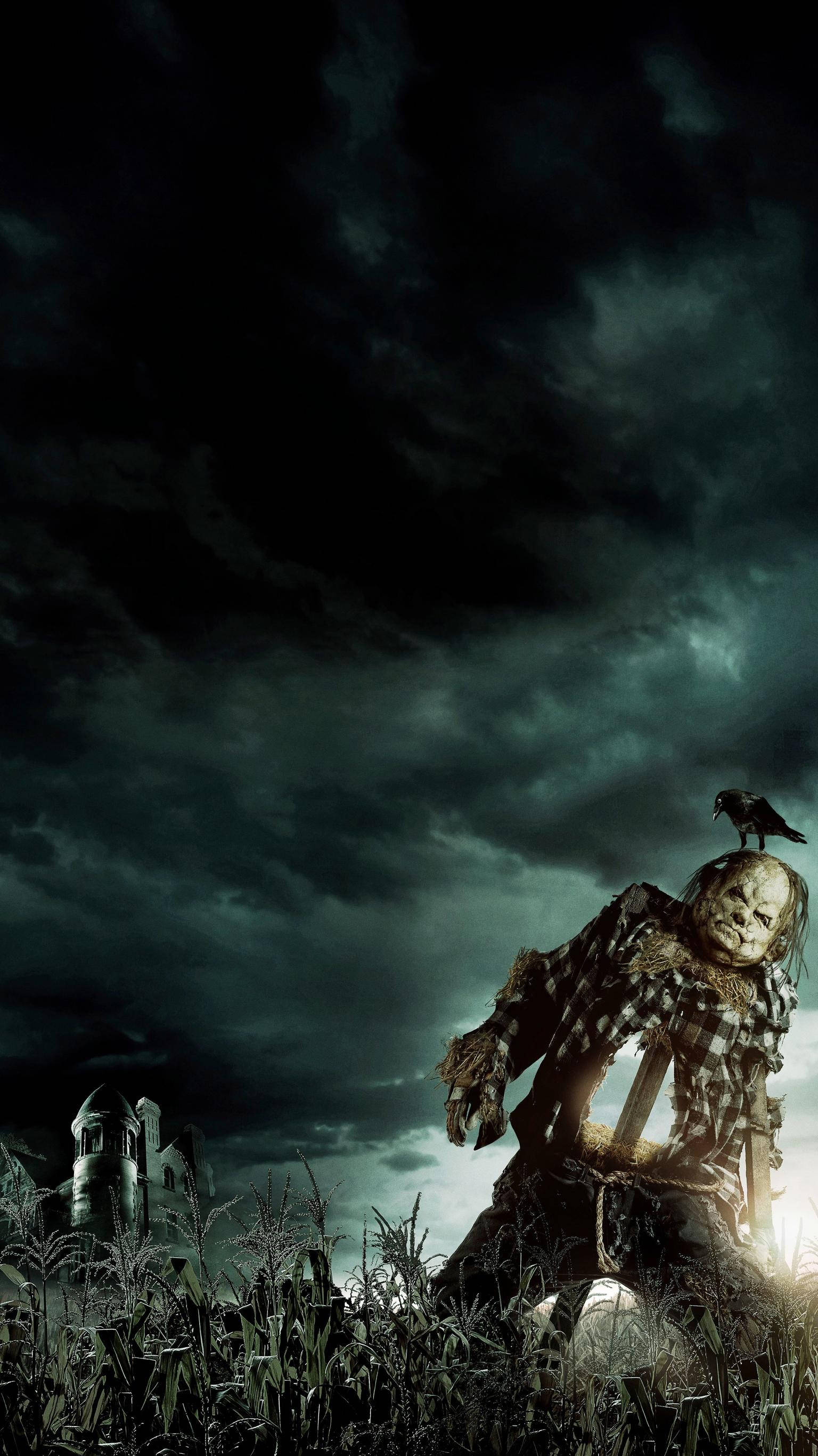 scarecrow, crow, cornfield, 2K Phone Wallpaper