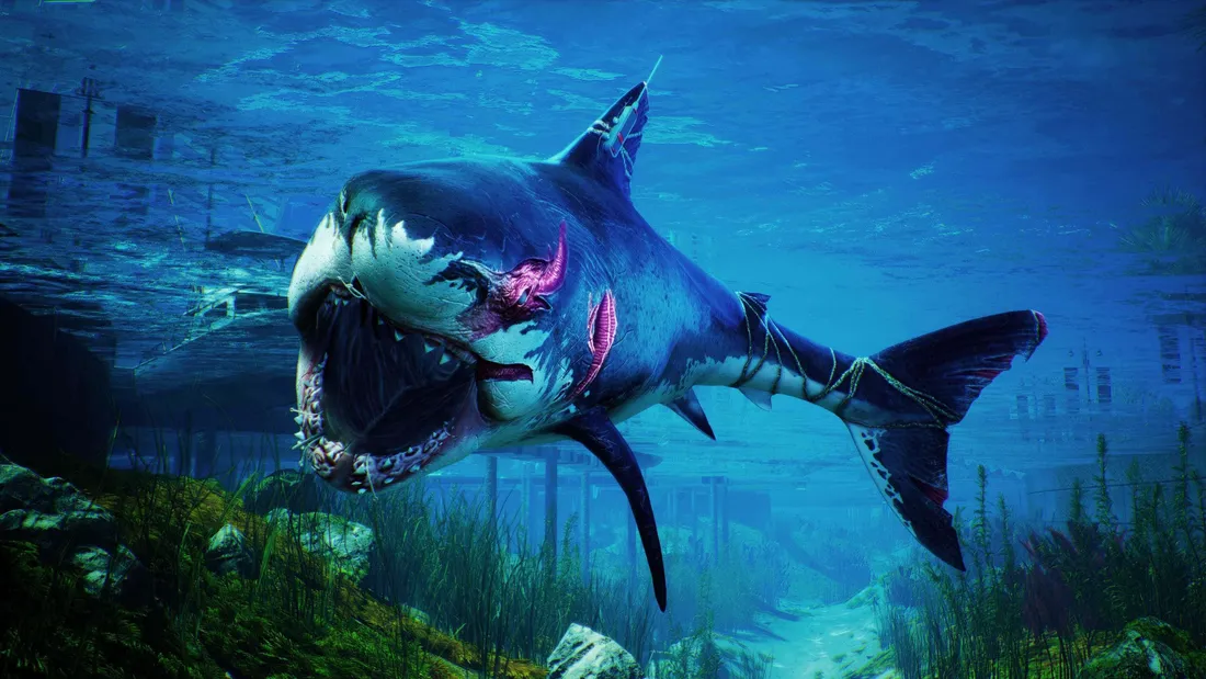 Scary Shark