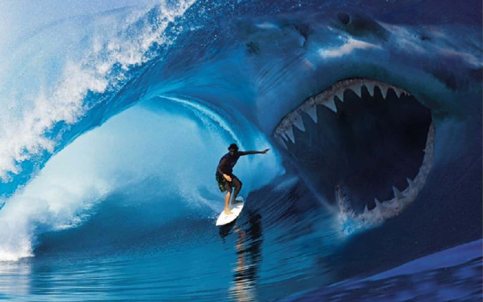 scary shark, ocean, surfer, HD Desktop Wallpaper