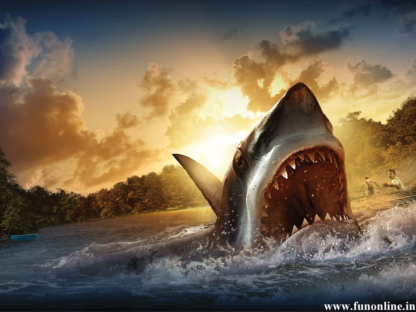 Scary Shark, sunset, river, HD Desktop Wallpaper
