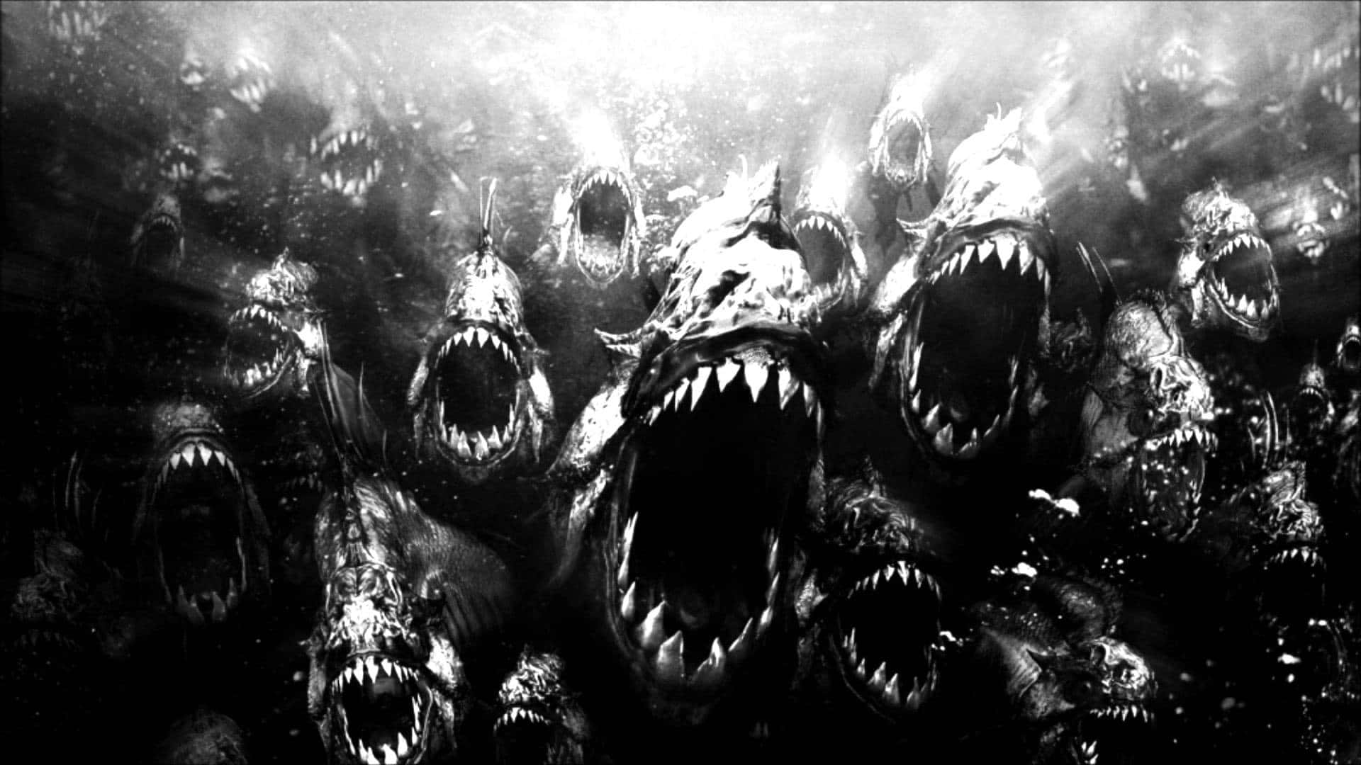 Scary Shark, monochrome, swarm of monstrous fish, Full HD Desktop Wallpaper