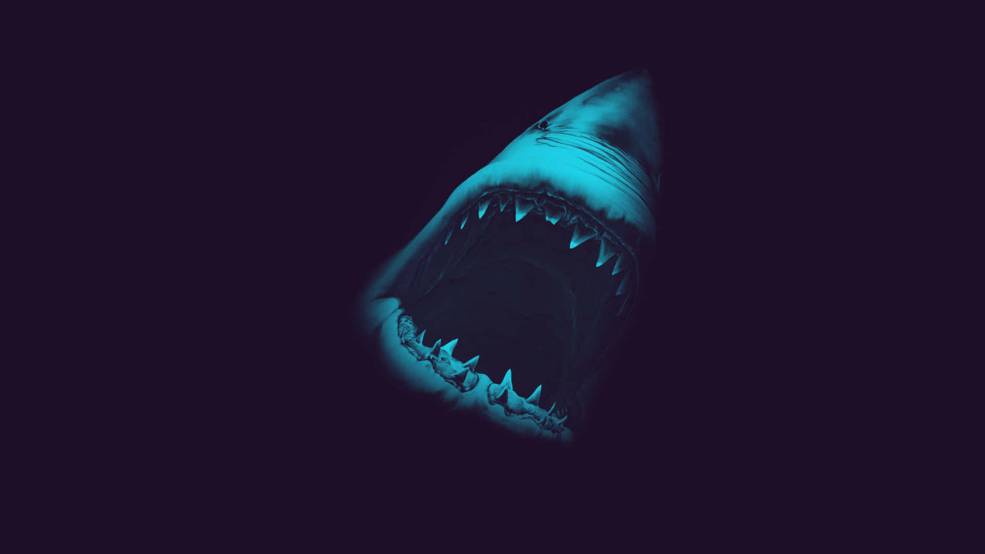 Scary Shark, glowing blue teeth, dark water, Full HD Desktop Wallpaper