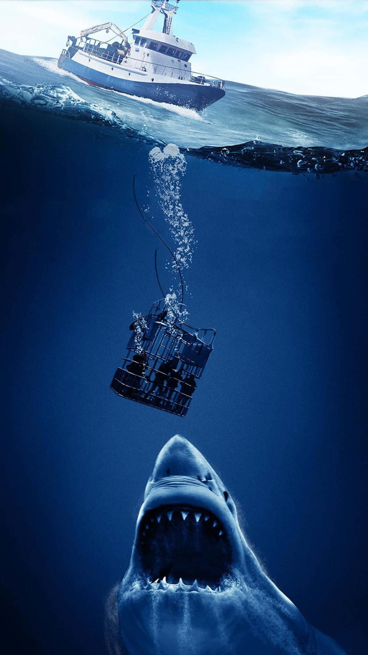 Scary Shark, fishing boat, deep blue ocean waters, Full HD Phone Wallpaper