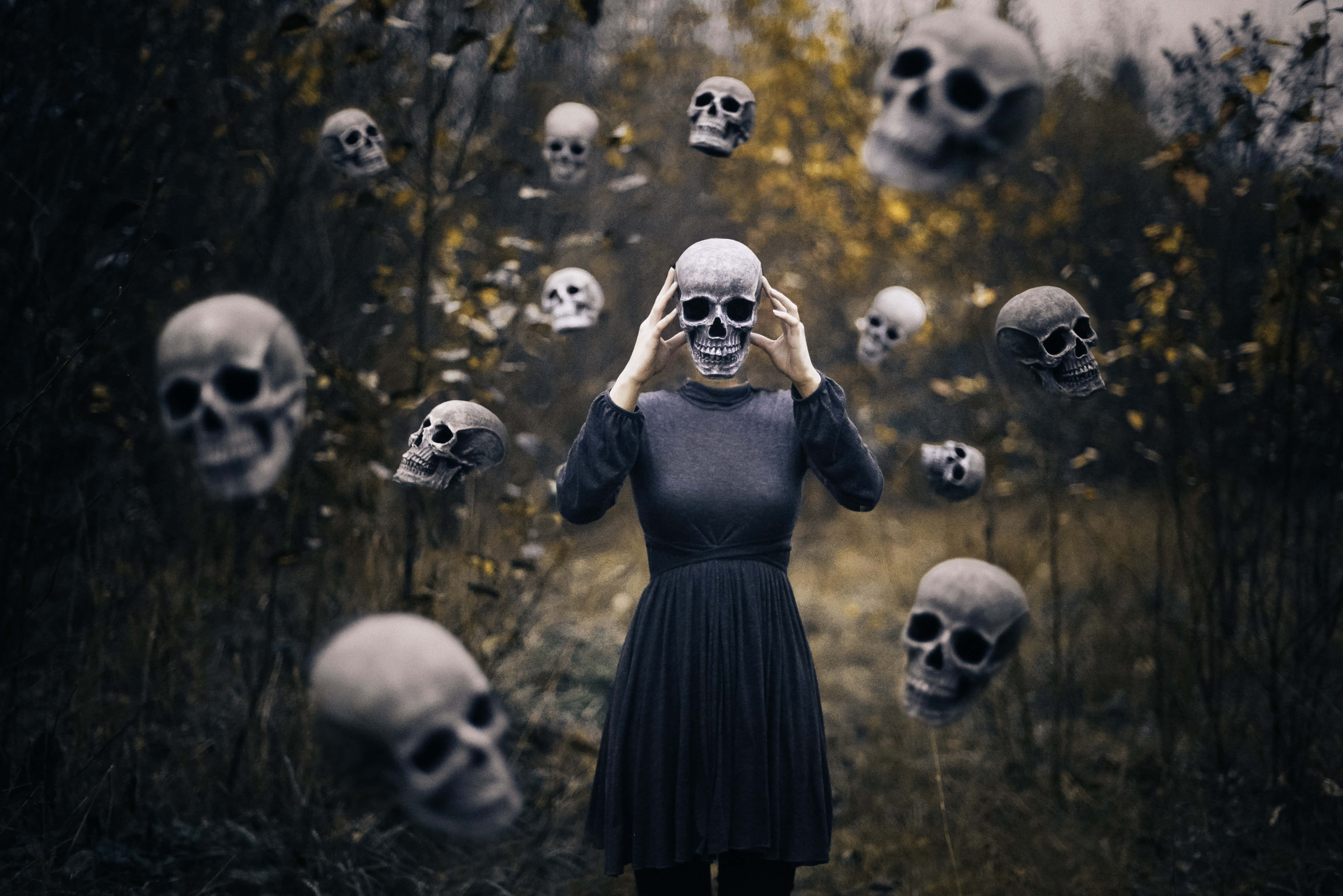 spooky void, floating skulls, misty autumn forest, 4K Desktop Wallpaper
