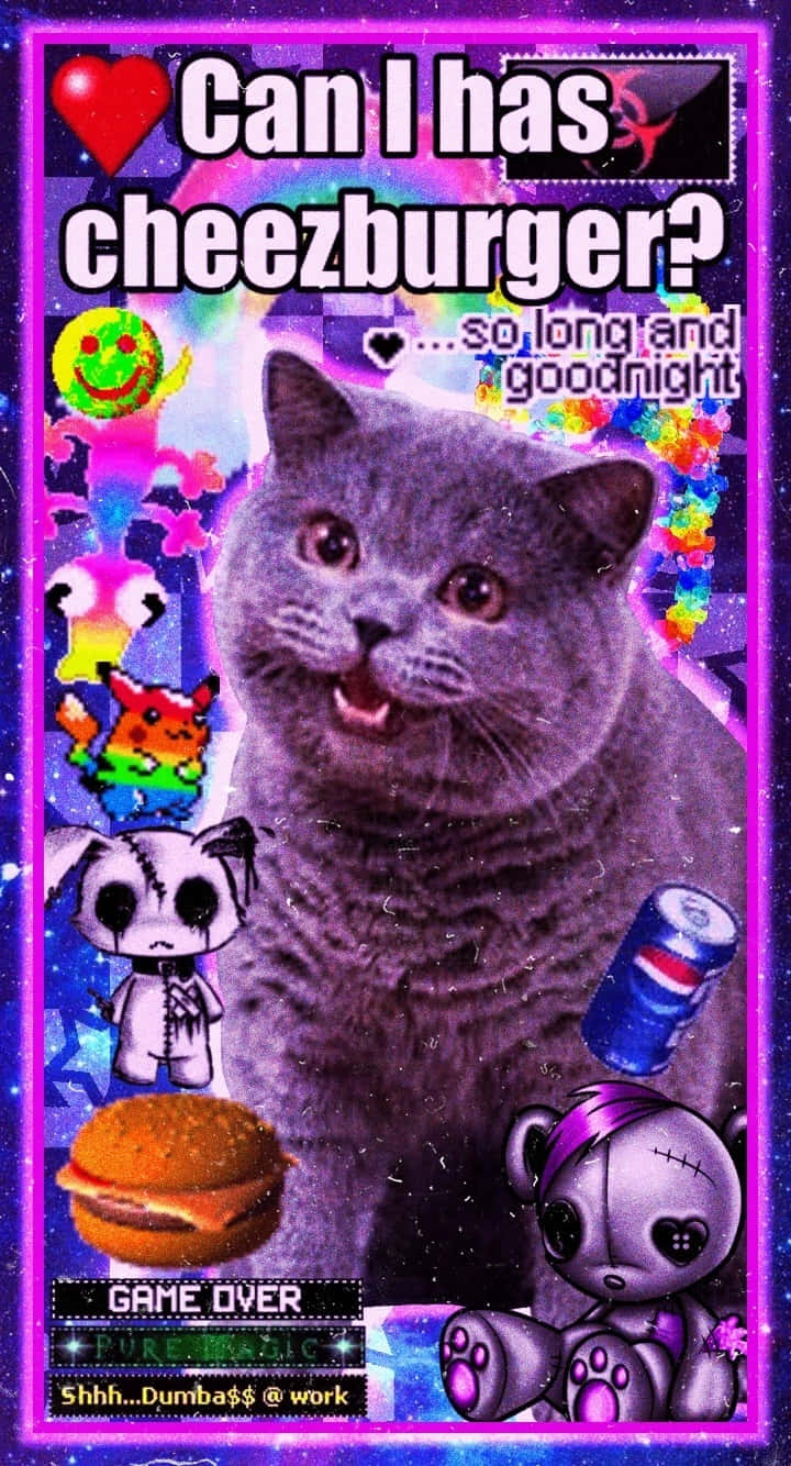 Scenecore, gray cat, surprised expression, HD Phone Wallpaper