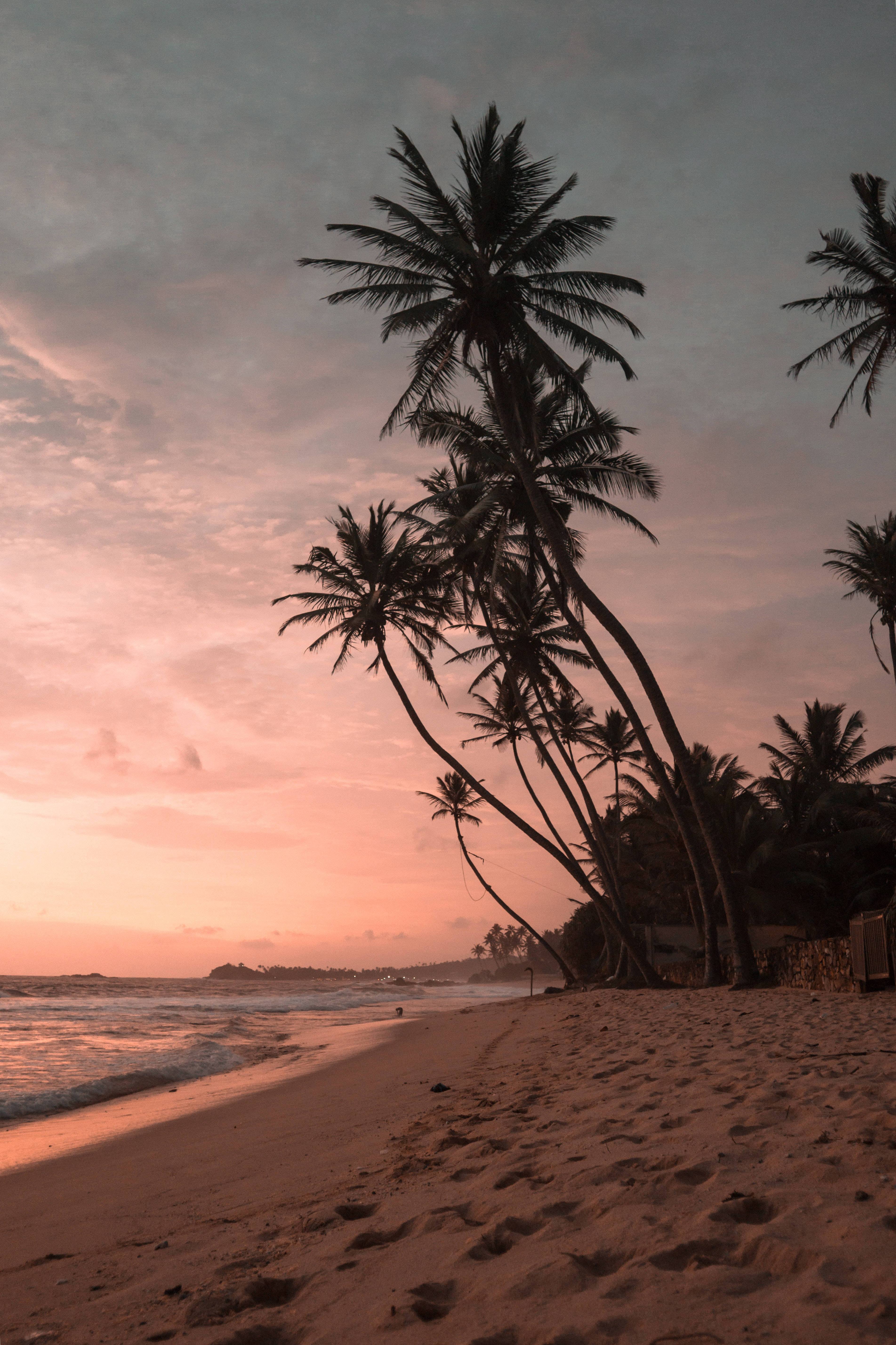 palm trees, sandy beach, waves, 5K Phone Wallpaper