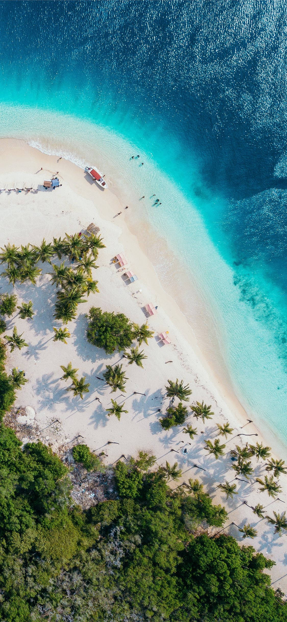 iPhone X, crescent-shaped white sand beach, palm trees, Full HD Phone Wallpaper