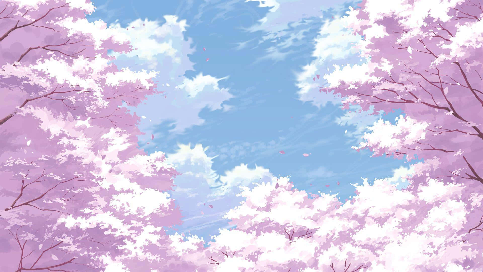 cherry blossoms, anime scenery, light pink, Full HD Desktop Wallpaper