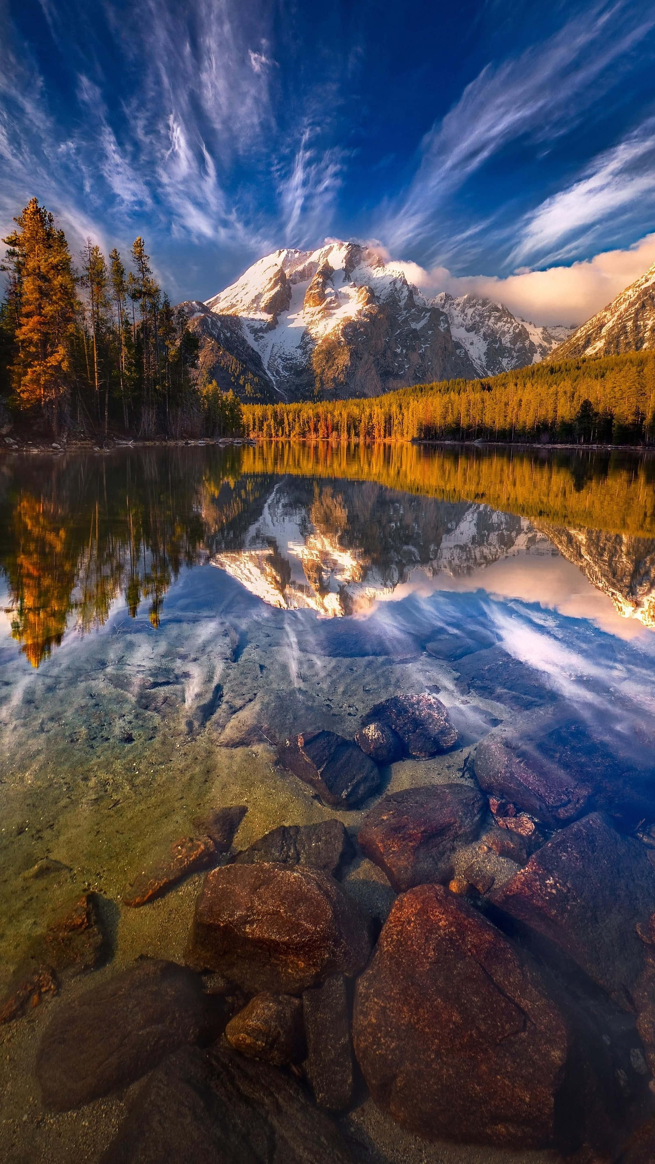 4K, iPhone, autumn trees, 4K Phone Wallpaper