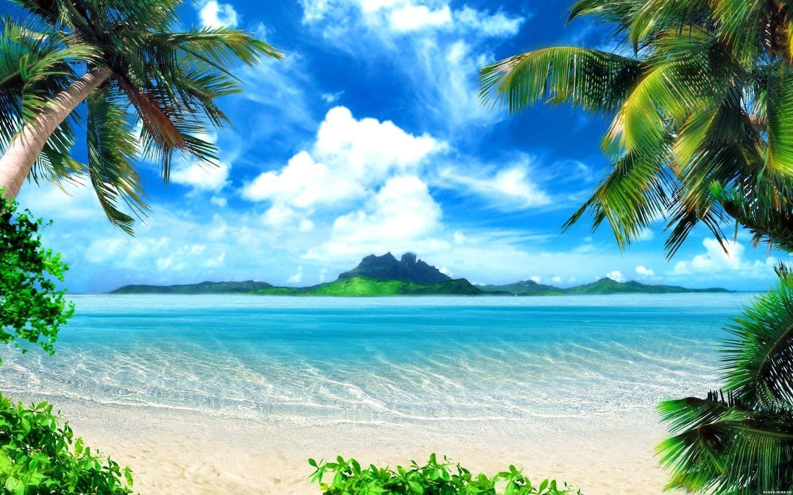 Tropical Island Painting, palm fronds, turquoise water, HD Desktop Wallpaper