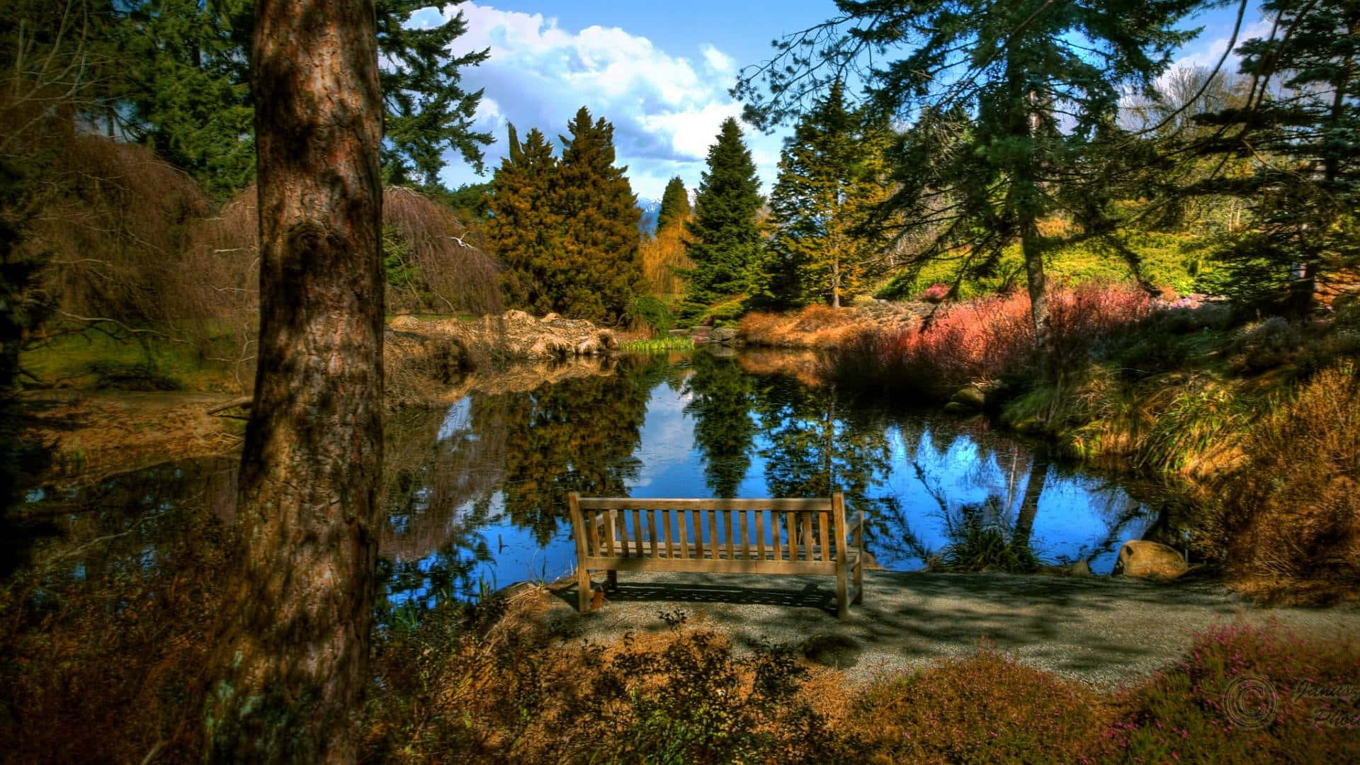 wooden bench, calm pond, vibrant autumn forest, Full HD Desktop Wallpaper