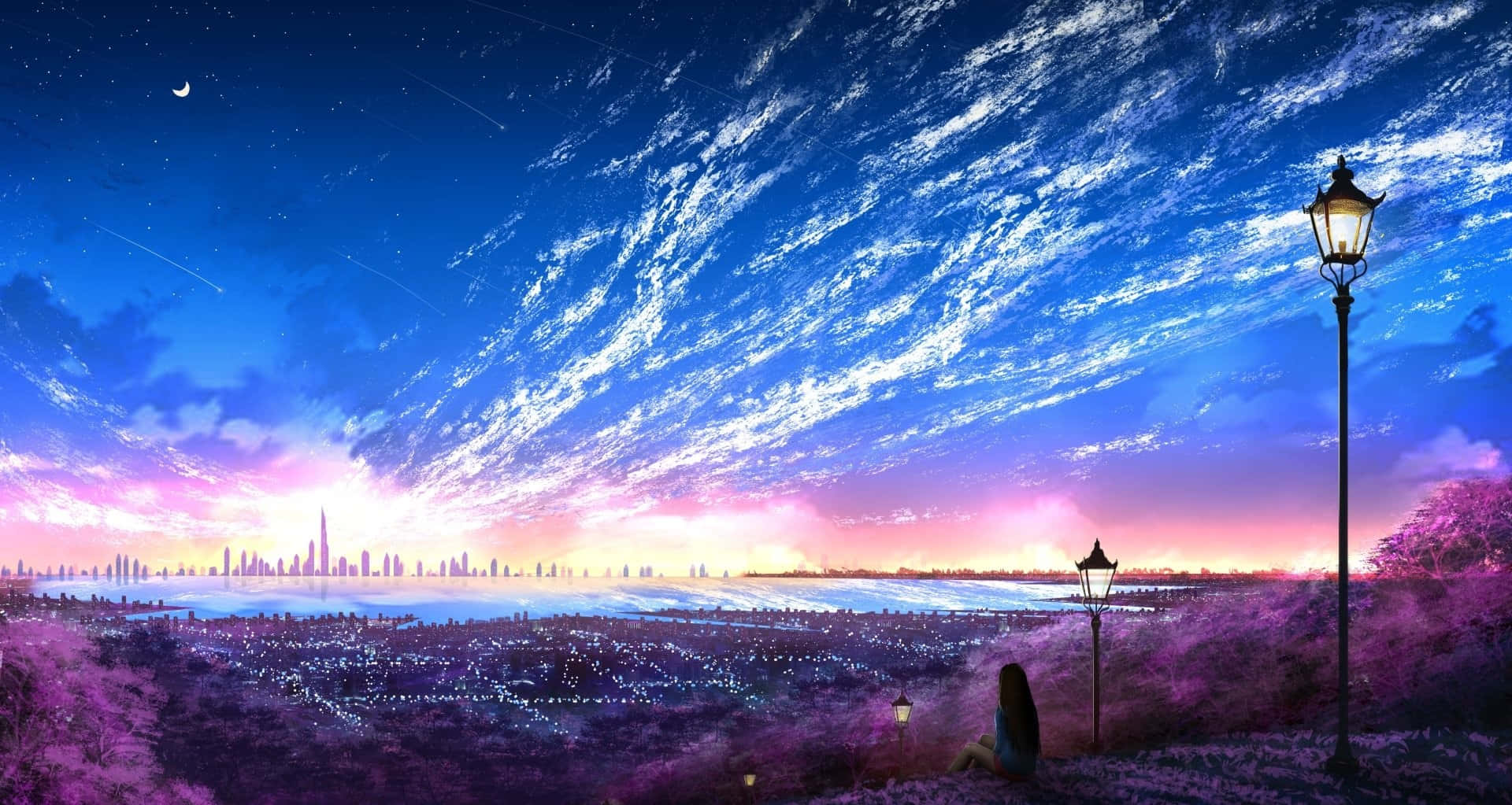 evening sky, city skyline, glowing streetlamps, Full HD Desktop Wallpaper