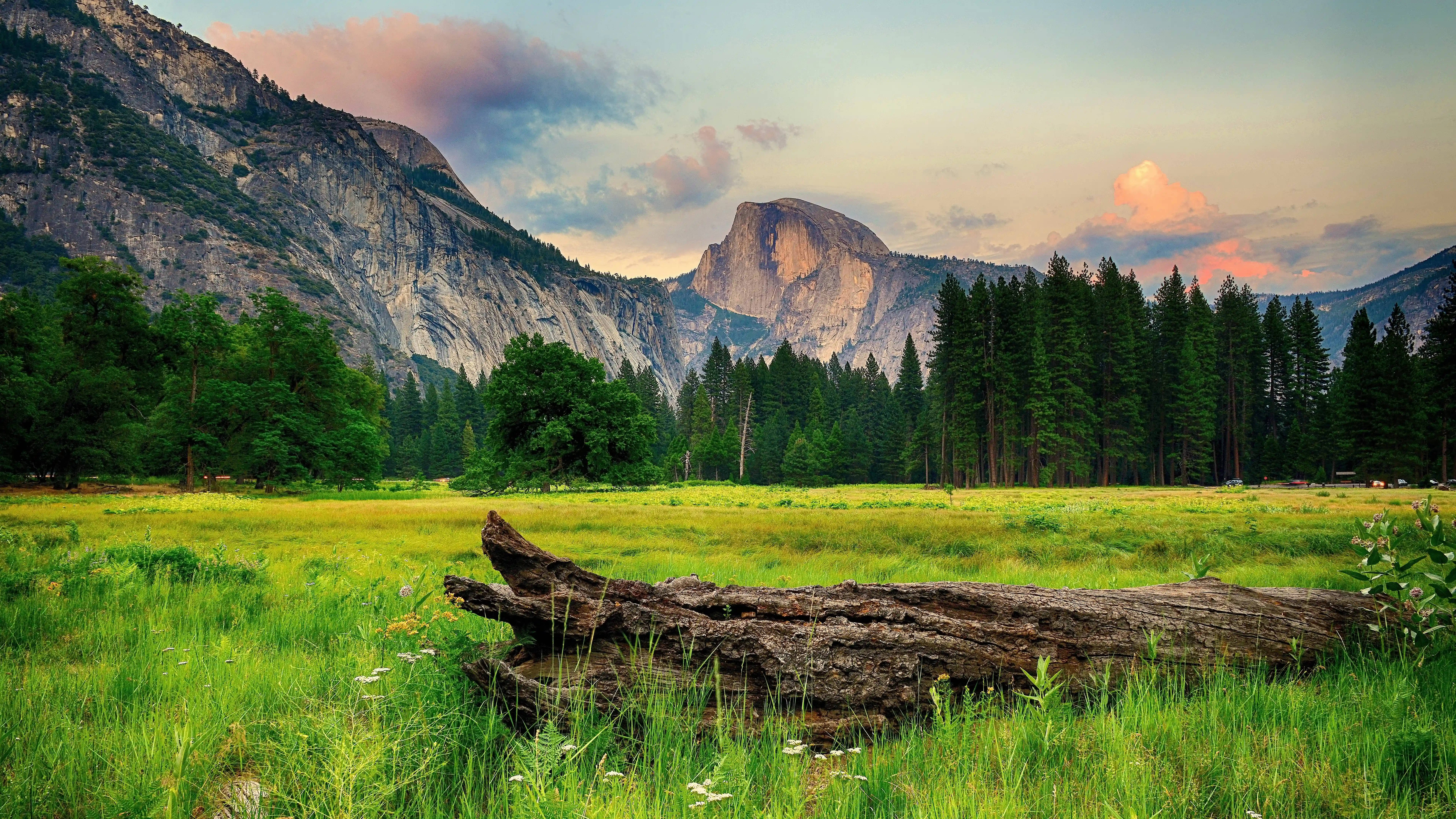 8K Ultra HD, vibrant green meadow, towering granite cliffs, 8K Desktop Wallpaper