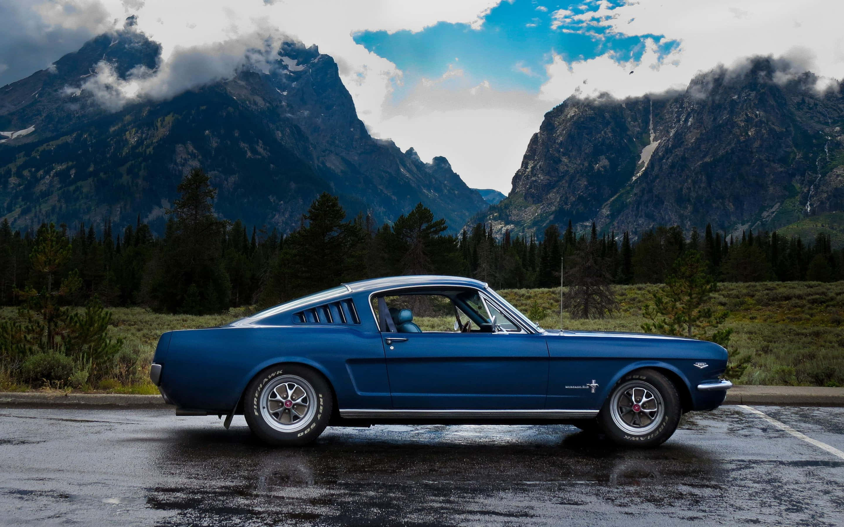 1966 Ford Mustang Fastback, blue, wet asphalt road, 2K Desktop Wallpaper