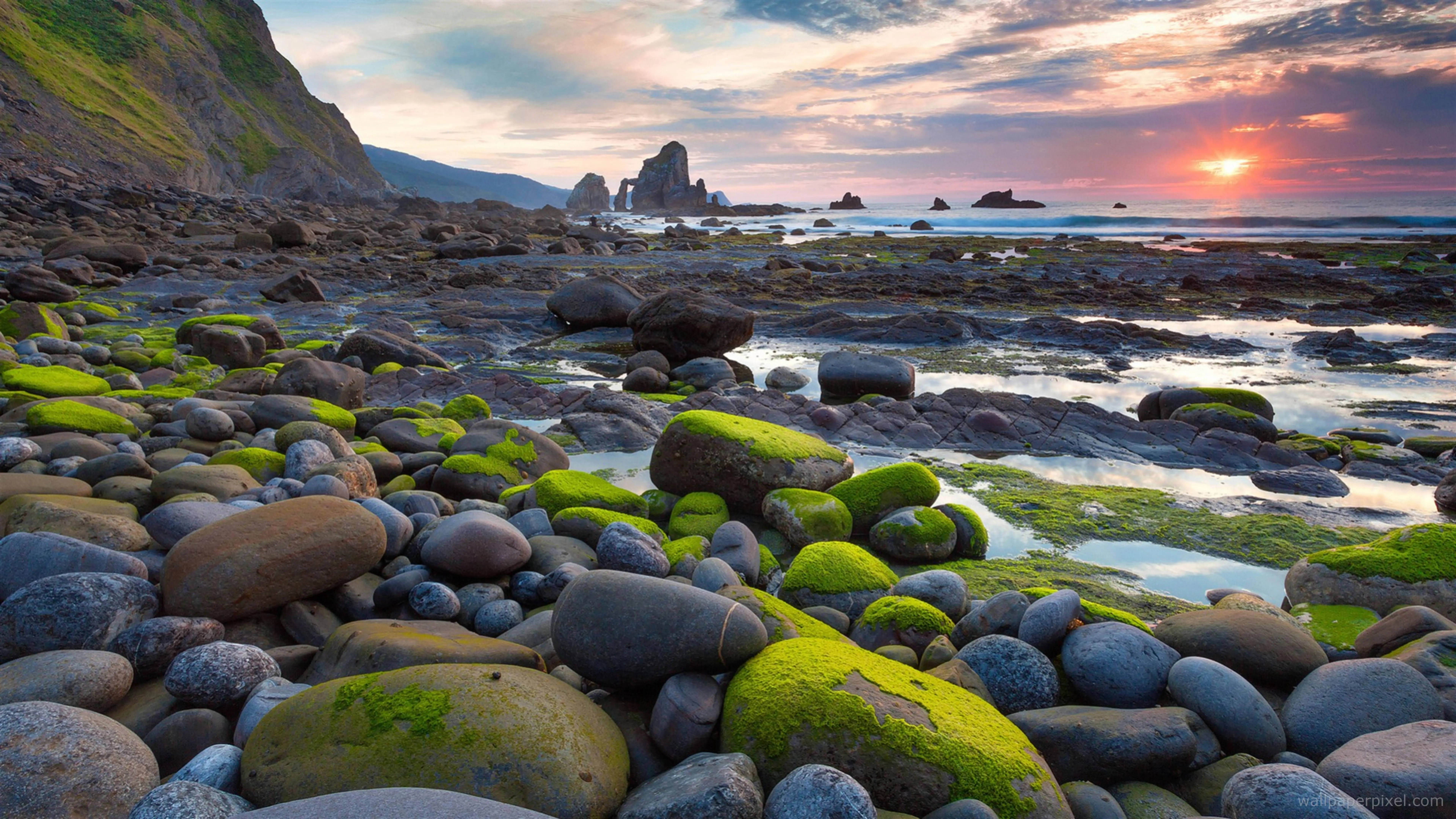 Sunset, rocky shoreline, vibrant green moss, 8K Desktop Wallpaper