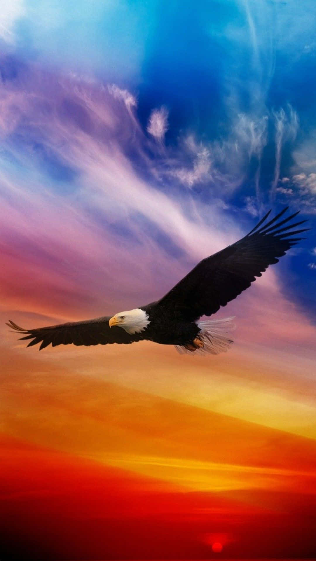 bald eagle, vibrant sunset sky, fiery orange red, Full HD Phone Wallpaper