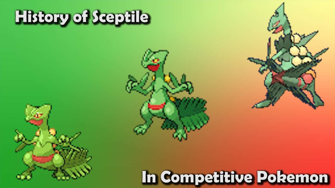 Sceptile, evolution, competitive Pokemon, HD Desktop Wallpaper