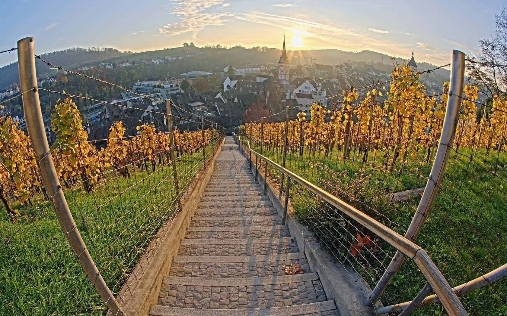 Schaffhausen, vineyard, stone staircase, HD Desktop Wallpaper