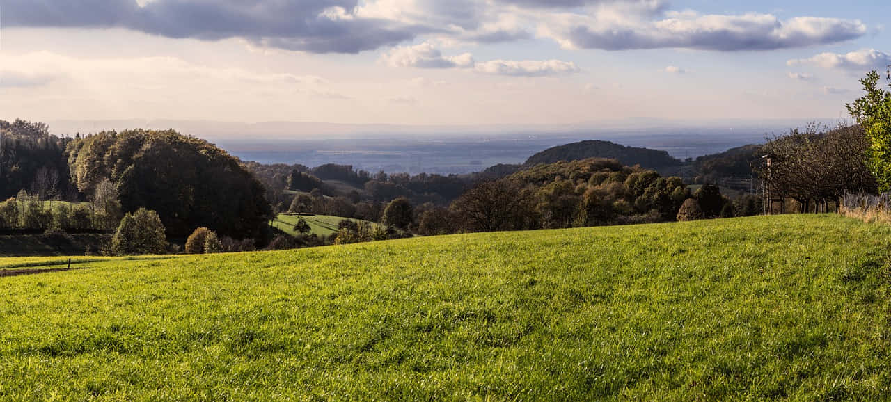 Schaffhausen, countryside, green meadow, HD Desktop Wallpaper