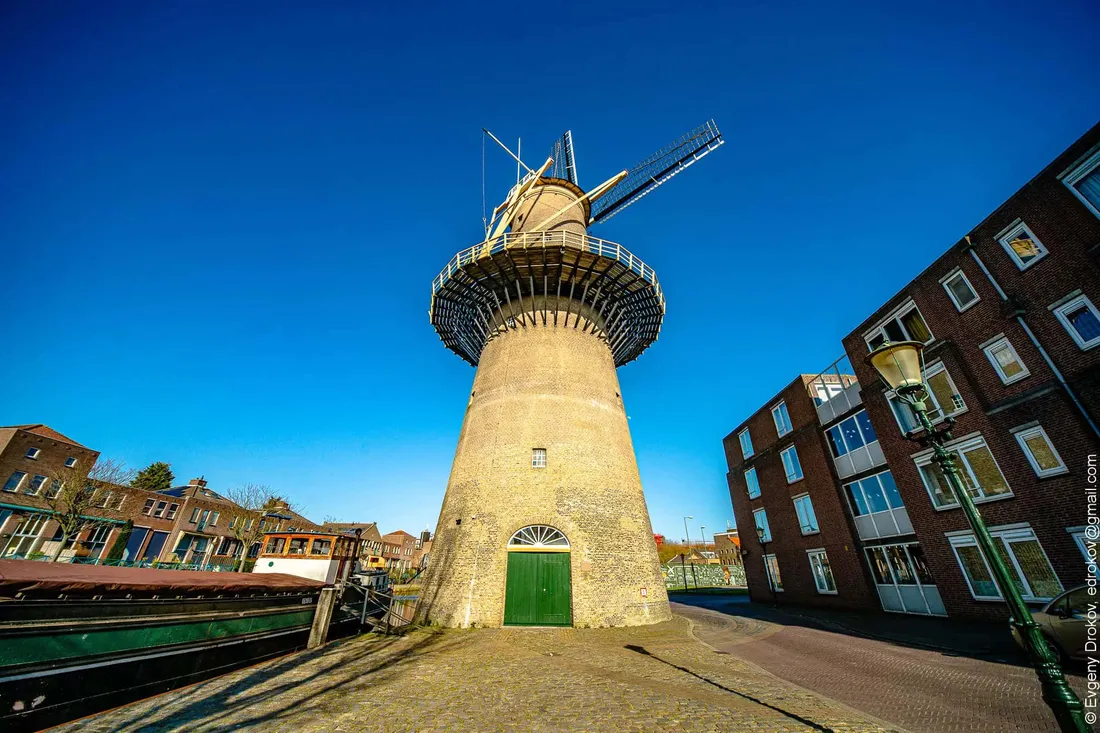 Schiedam