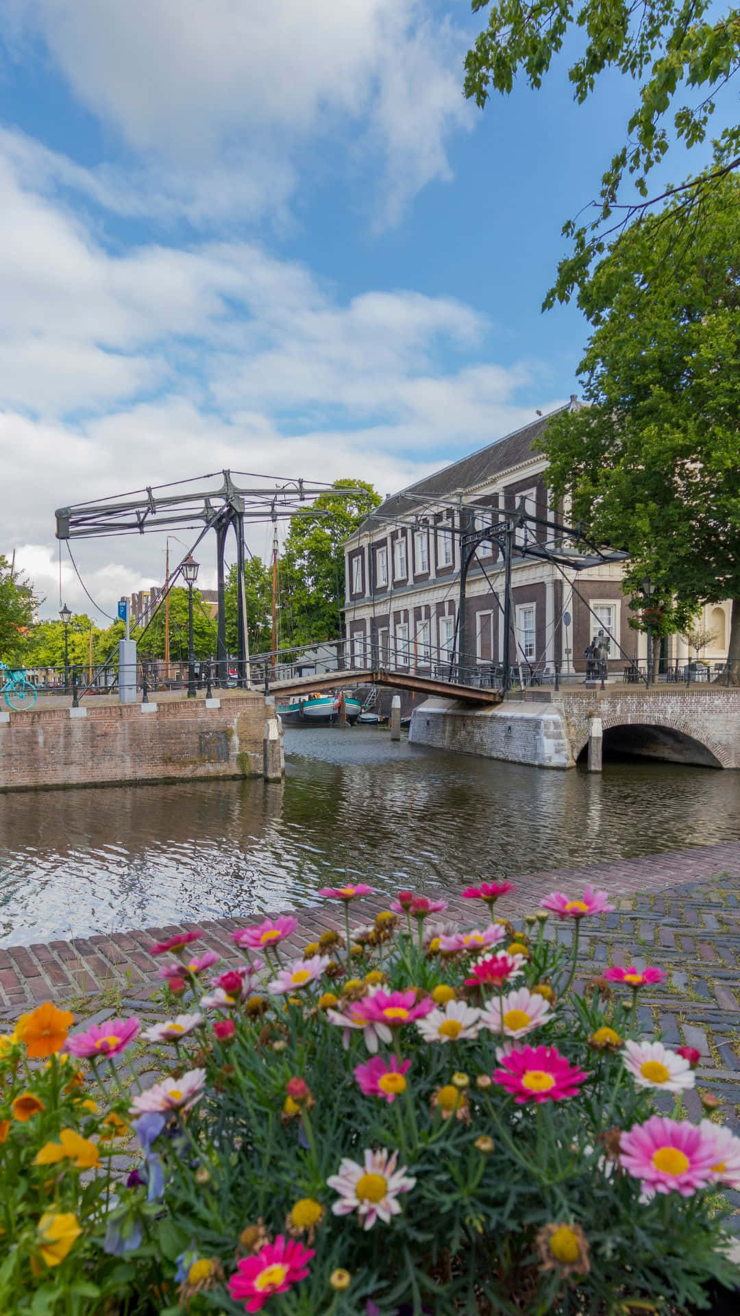 Schiedam, canal, flowers, Full HD Phone Wallpaper