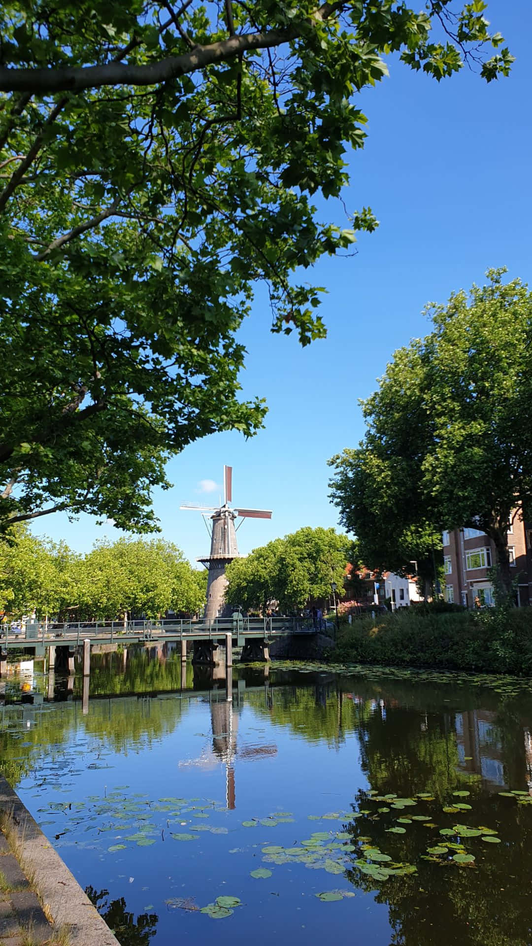 Schiedam, windmill, canal, Full HD Phone Wallpaper