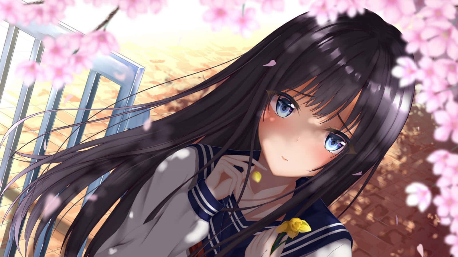 anime school girl, long dark hair, blue eyes, HD Desktop Wallpaper