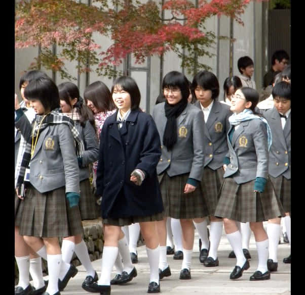 Japanese schoolgirls, uniform, autumn trees, SD Desktop Wallpaper