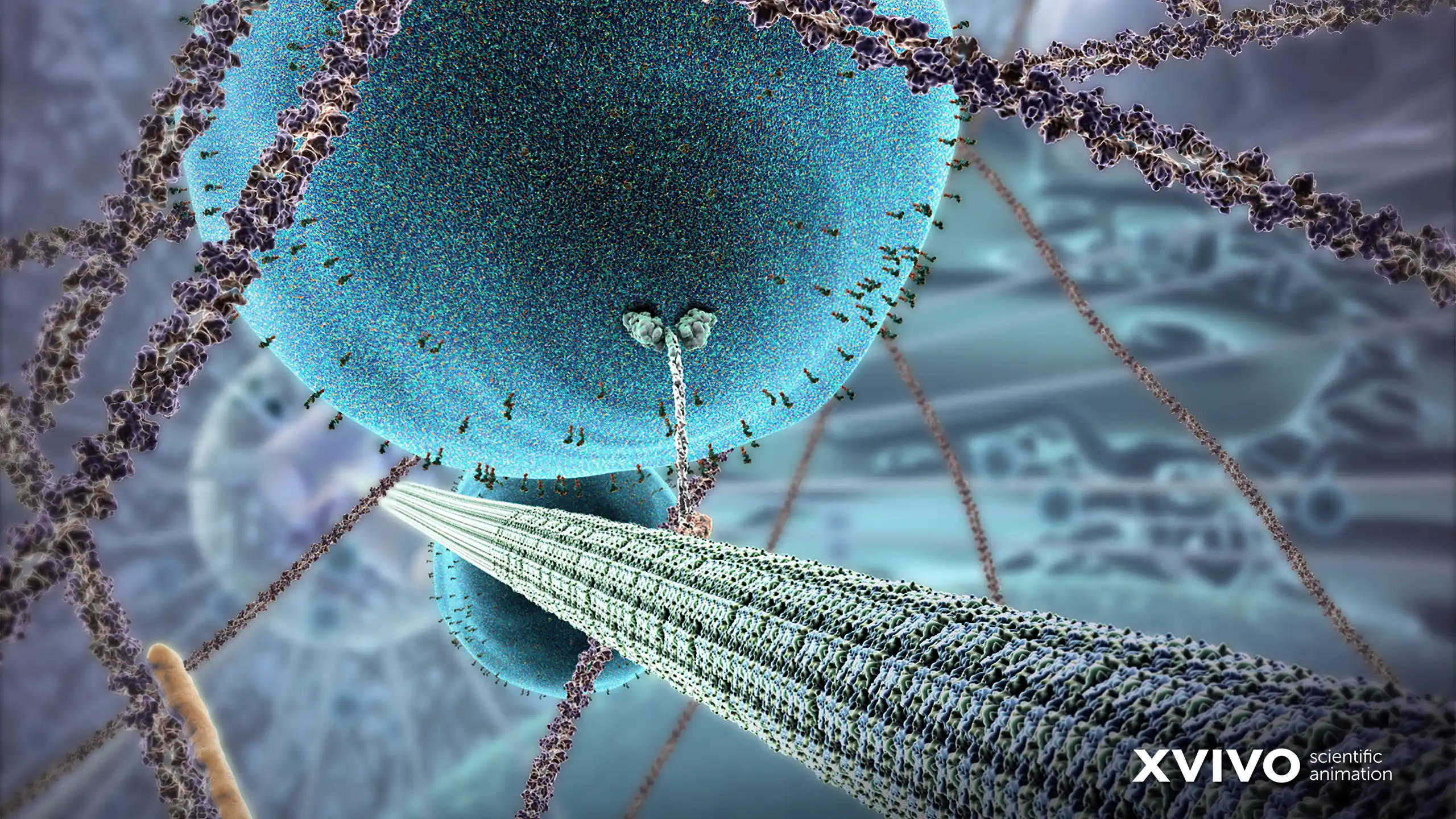 science desktop, serotonin transfer, blue virus particle, 2K Desktop Wallpaper